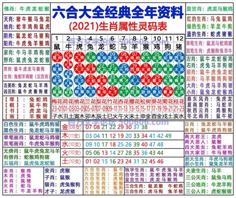 六合彩五行|2024年【六合彩生肖号码】属性知识对照表